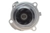 Помпа води VW Caddy III 1.6/BiFuel 04-15 (23z), BGU, BSE, BSF, CHGA INA 538008810 (фото 3)