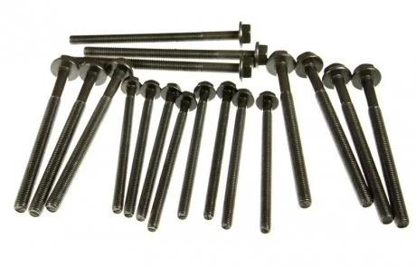 Болти головки (к-кт 18шт.) Ford Transit 2.2TDCI/Citroen Jumper 2.2HDI 06- ELRING 733.100