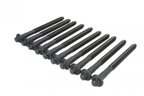 Болти головки (к-кт 10шт.) Citroen Jumper/Jumpy/Fiat Ducato/Scudo 1.9 TD 94-06 (1.5xM12) ELRING 582.630