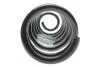 Пружина подвески задняя Renault Scenic III 2009-2015 Renault RENAULT 550200023R (фото 3)