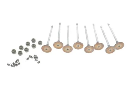 Клапана впуск Trafic/Vivaro 2.0dCi 06- (к-кт 8шт. + сальники клапанів) RENAULT 7701476596