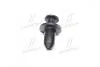 Кліпса кріплення молдингу бічного SsangYong SSANGYONG 7887205000 (фото 4)