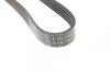 Ремень генератора Nissan Primera/Fiat Marea 1.8-2.4JTD 96-02 HUTCHINSON 1105K6 (фото 3)