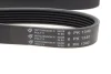 Ремінь генератора VW T4 2.4D HUTCHINSON 1340K6 (фото 4)