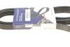 Ремень генератора Renault Master 2.2/2.5 dCi 00- (6PK1836) HUTCHINSON 1836K6 (фото 6)