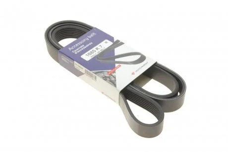 Ремінь генератора Opel Vivaro 2.0 CDTI 06-/Movano B 2.3 CDTI/Renault Master 2.3dci 10- (7PK1685) HUTCHINSON 1685K7