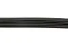 Ремінь генератора Fiat Scudo 1.6/Renault Kangoo 1.9D 97- (6PK894) HUTCHINSON 894K6 (фото 3)