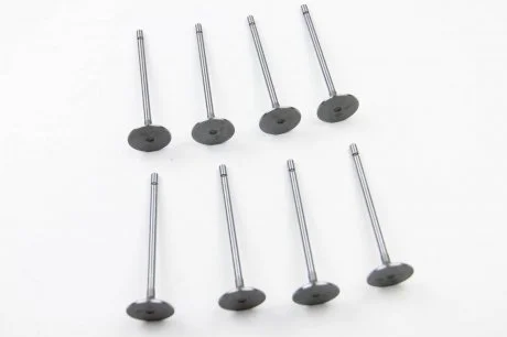 К-т (8 шт.) клапанів впуск. Kangoo 1.6 i 16V 01- ASAM 30471