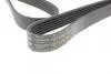 Ремінь генератора (поліклиновий) 1690 K 6 HUTCHINSON 1690K6 (фото 4)
