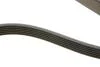 Ремень генератора Infiniti FX/M45/Lexus GS/Mitsubishi Outlander 1.8-4.5 93- HUTCHINSON 1940K6 (фото 3)