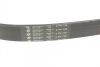 Ремень генератора VW Caddy III 1.4i/Roomster/Polo 1.4, 03- HUTCHINSON 736K6 (фото 4)