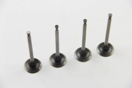 К-т (4 шт.) клапанів випуск. Kangoo 1.5dCi 01- ASAM 30649