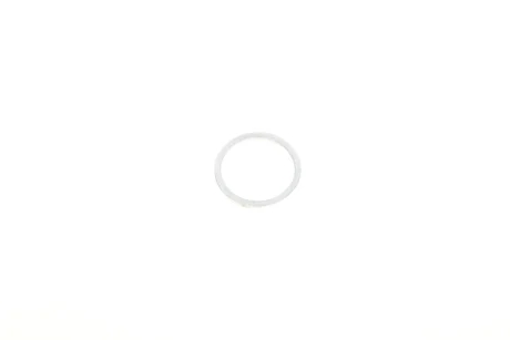 Кільце ущільнююче 24*29 VAG N0438092