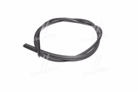 Ущільнювач вітрового GM 96543951