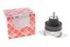 Опора двигуна Citroen EvasionJumpy 2.0 HDi 1999- Peugeot 806,Expert 2.0 HDI 99- FEBI BILSTEIN 24593 (фото 2)