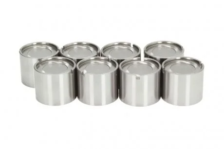 Гідрокомпенсатор Fiat Scudo/Citroen Jumpy/Opel Astra H/Vectra C 1.0-2.4D 73- (37mm) INA 421 0012 10