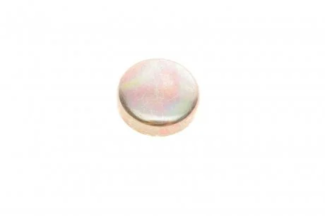 Заглушка водяної сорочки блоку циліндрів FEBI BILSTEIN 07294