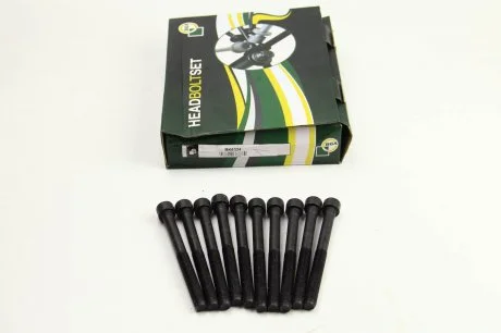 К-кт болтів ГБЦ Fiat 1.3D/1.7D/1.9D/TD BGA BK6324