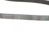 Ремінь генератора Toyota Auris/ Yaris 1.33 09-12/Audi 80/A6 1.9TDI 91-07/Nissan Maxima 2.0/3.0 95-00 Contitech 6PK890 (фото 3)