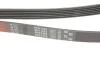 Ремінь генератора Fiat Doblo/Opel Combo 1.3D 10- Gates 6PK1525 (фото 5)