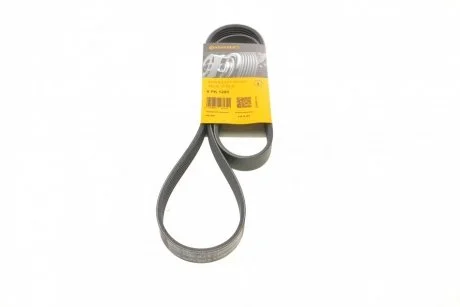 Ремінь генератора VW Golf/VW Bora 2.3 97-00/Kia Soul II/Sportage III 2.0 14- Contitech 6PK1285