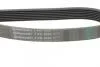 Ремінь генератора Renault Master 3.0dCi/Opel Movano 3.0dTi 03-/Toyota Rav4 2.0 06-13/Avensis 01-09 Contitech 7PK1920 (фото 3)