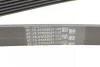 Ремінь генератора поліклиновий CONTINENTAL Contitech 6PK1530 (фото 3)