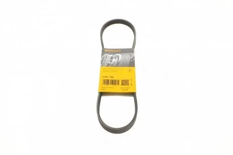 Поліклиновий ремінь Contitech 4PK795