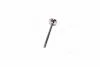 Клапан выпускной EX VAG BCA/BLP/ARC/BLF/BKG/BBY/AJV/BLG/ATN/CAVA/CAXA/CAXC 26X6X100.6 (пр-во KS) KOLBENSCHMIDT 39523 (фото 2)