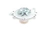 Комплект ГРМ + насос Volvo C70/S60/S80/V60/V70/XC70/XC90 2.0-2.4D 01- (28x132z) Contitech CT1010WP1 (фото 7)