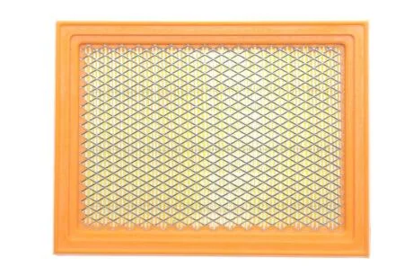 Фільтр повітряний ALPHA FILTER AF1639s