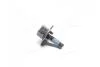 Болт кріплення (кратно 2) бампера (M6X1.0X20, HEX FLG) Actyon, Kyron, Rexton, Korando SsangYong SSANGYONG 7871708002 (фото 1)