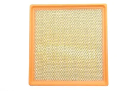 Фільтр повітряний ALPHA FILTER AF1829s