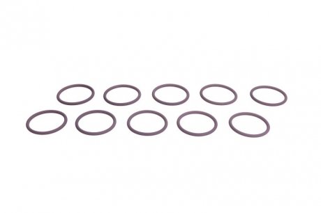 Уплотнительное кольцо насос-форсунки E1/E3 комплект 10 шт Delphi 7200-0053