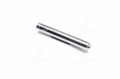 Палець напрямної ланцюга ГРМ SsangYong SSANGYONG 6010520674
