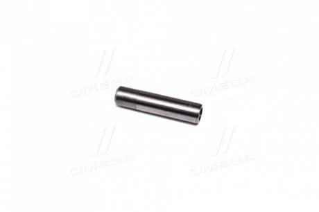 Направляющая клапана IN/EX DAF DK..1160/ WS (17.55X11.0X75.0) AE VAG92484