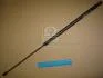 Амортизатор капота SKODA SUPERB (кор.код. GS0686) MAGNETI MARELLI 430719068600 (фото 1)