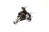 Опора кульова SEAT/VW PASSAT, GOLF III, VENTO/TOLEDO I (Вир-во Moog) MOOG VO-BJ-7184 (фото 2)