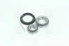 Подшипник ступицы VW GOLF I-IV, PASSAT 81- задн. мост (Пр-во COMPLEX) COMPLEX AUTOMOTIVE BEARINGS Sp.z.o.o. CX010 (фото 1)
