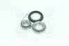 Подшипник ступицы VW GOLF I-IV, PASSAT 81- задн. мост (Пр-во COMPLEX) COMPLEX AUTOMOTIVE BEARINGS Sp.z.o.o. CX010 (фото 2)