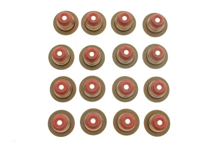 Комплект сальників клапанів RZ VICTOR REINZ 12-38209-02