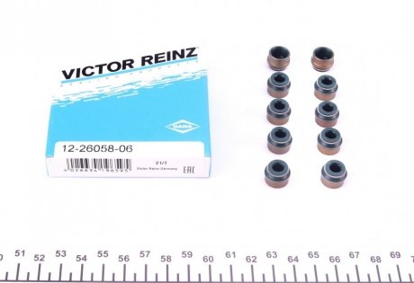 Сальник клапана (впуск/випуск) VW T5 2.5 TDI 03-10 (к-кт) VICTOR REINZ 12-26058-06
