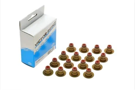 Сальник клапана (впуск/випуск) Opel Astra/Insignia/Vectra/Zafira 00- (к-кт 16шт) VICTOR REINZ 12-36613-01