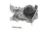 Насос охолоджуючої рідини, без прокладки RENAULT CLIO II, KANGOO, KANGOO EXPRESS, MEGANE I, MEGANE I CLASSIC, MEGANE SCÉNIC 1.4 01.96- INA 538 0022 10 (фото 1)