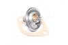 Термостат FIAT; FORD;I SUZU; LANCIA; LAND ROVER;(Mahle) MAHLE / KNECHT TX 4 83 D (фото 3)