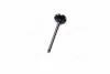 Клапан впускной IN RENAULT 1,9dCi F9Q 35.3x7x110.9 (пр-во SM) SM MVI 853803-4 (фото 2)
