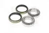 Підшипник маточини FORD ESCORT 4x4 задн. міст (Вир-во COMPLEX) COMPLEX AUTOMOTIVE BEARINGS Sp.z.o.o. CX025 (фото 1)