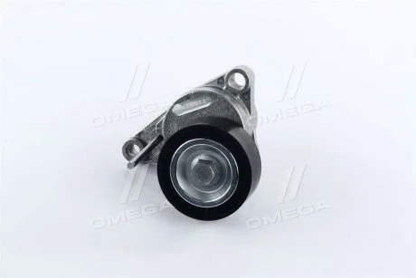 Натягувач NTN-SNR SNR NTN GA359.15