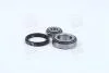Подшипник ступицы FORD TRANSIT передн. мост (Пр-во COMPLEX) COMPLEX AUTOMOTIVE BEARINGS Sp.z.o.o. CX031 (фото 1)