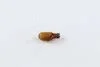 Лампа накаливания WY5W 12V 5W W2,1X9,5d AMBER (пр-во Narva) NARVA 17169CP (фото 3)